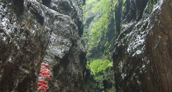 娱乐718吃瓜第一线天,揭秘“吃瓜第一线”幕后故事